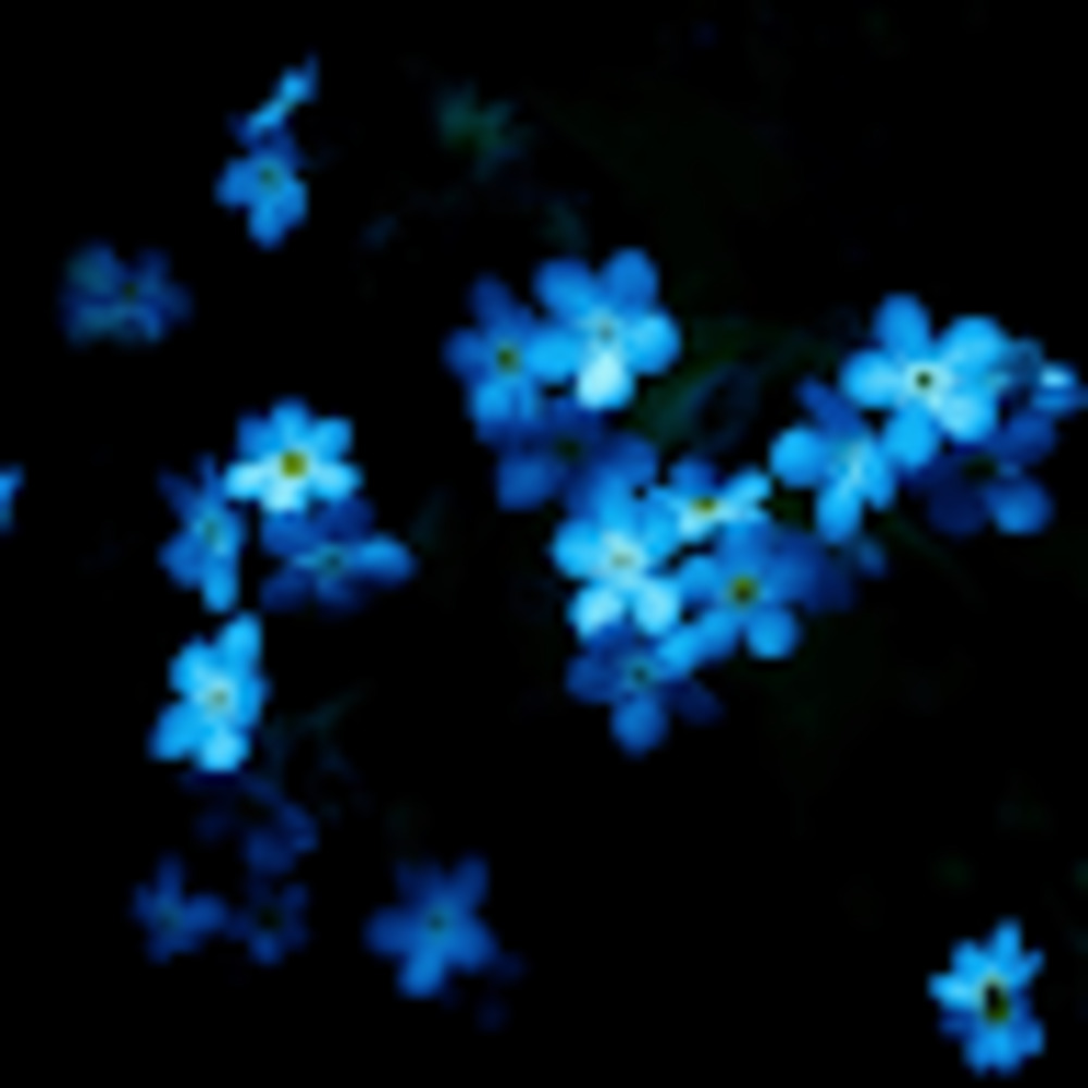 Meet your Posher, Virginia